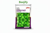 ANKUR Super Fast coriander seeds 500gm quick growing high yield dhaniya seeds for farming in India