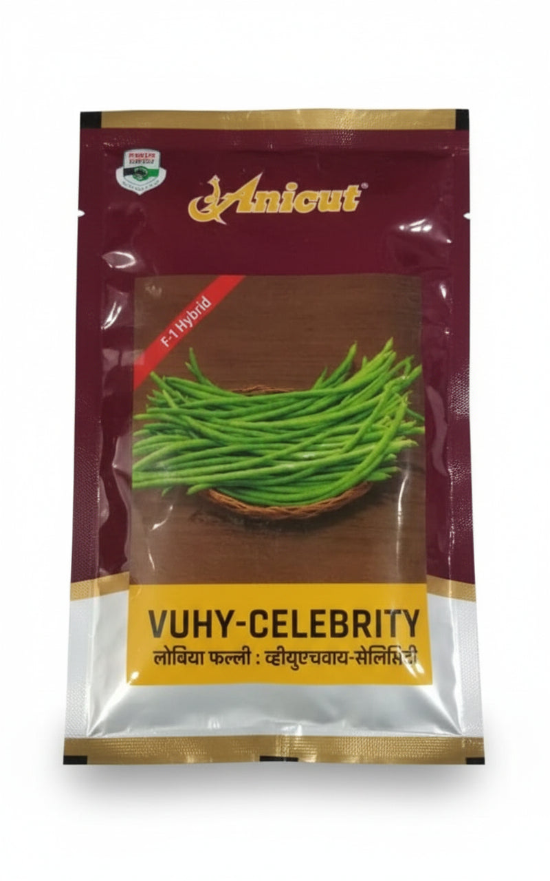 ANKUR VUHY Celebrity cowpea seeds high yield hybrid lobia seeds for farming in India