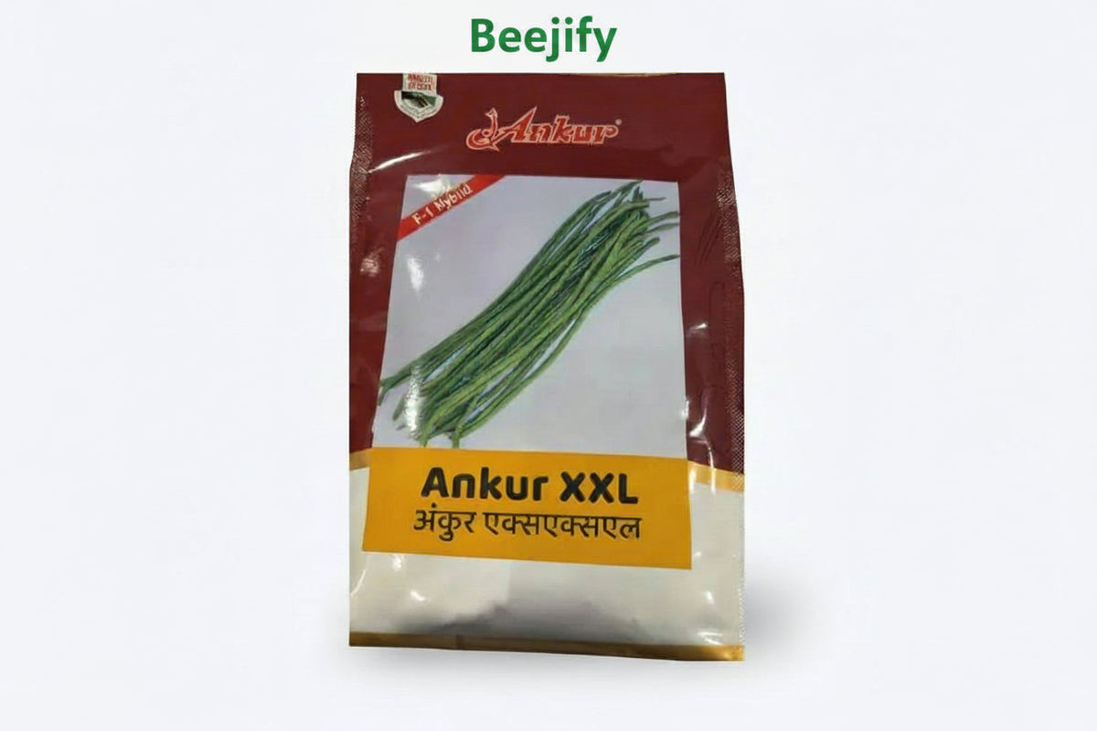 ANKUR XXL cowpea seeds extra long high yield lobia hybrid seeds for farming in India