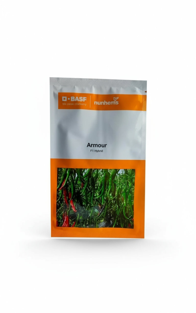 BASF Armour F1 hybrid chilli seeds high yield spicy green mirchi variety for commercial farming India
