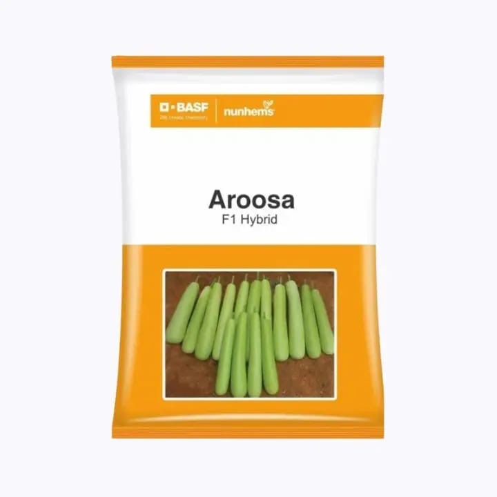 BASF Aroosa F1 hybrid bottle gourd seeds 250 seeds high yield lauki seeds for commercial farming