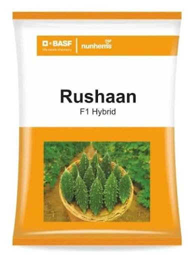 BASF Rushaan bitter gourd seeds producing dark green uniform high yield karela fruits suitable for commercial farming