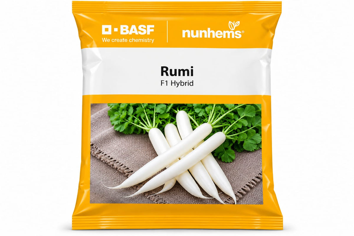 BASF Nunhems Rumi F1 Hybrid white radish seeds packet with white radish vegetables