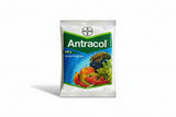 Bayer Antracol Fungicide with Propineb for effective control of leaf spot, blight and fungal diseases in vegetable and fruit crops with protective action
