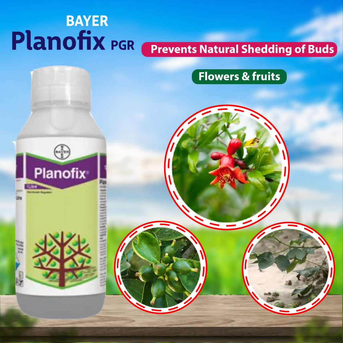 Bayer Planofix plant growth regulator for improved flowering and fruit setting in crops