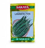 SAKATA  Lavanya 7006 10gm