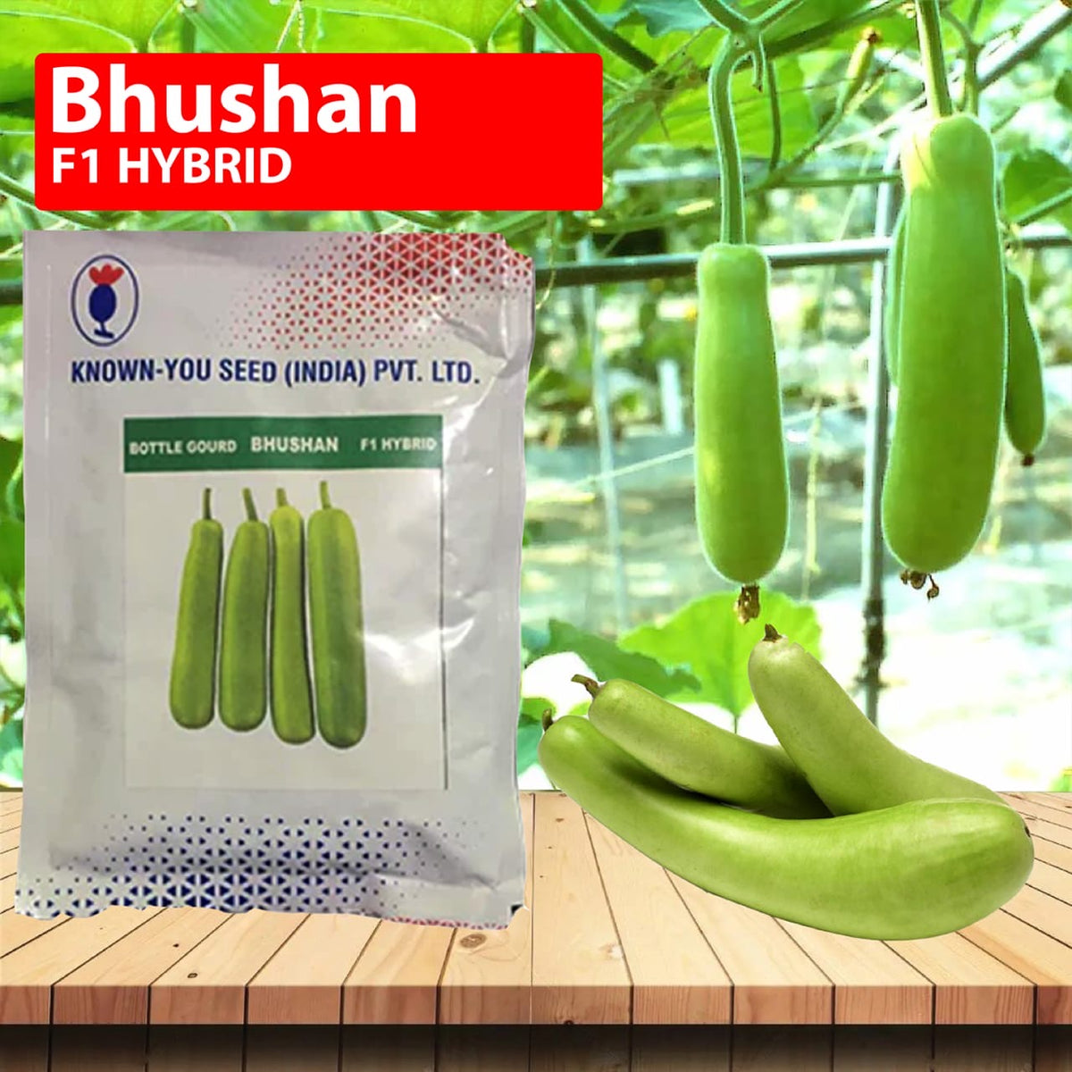 Bhushan F1 hybrid bottle gourd seeds 10gm high yield lauki seeds for farming in India