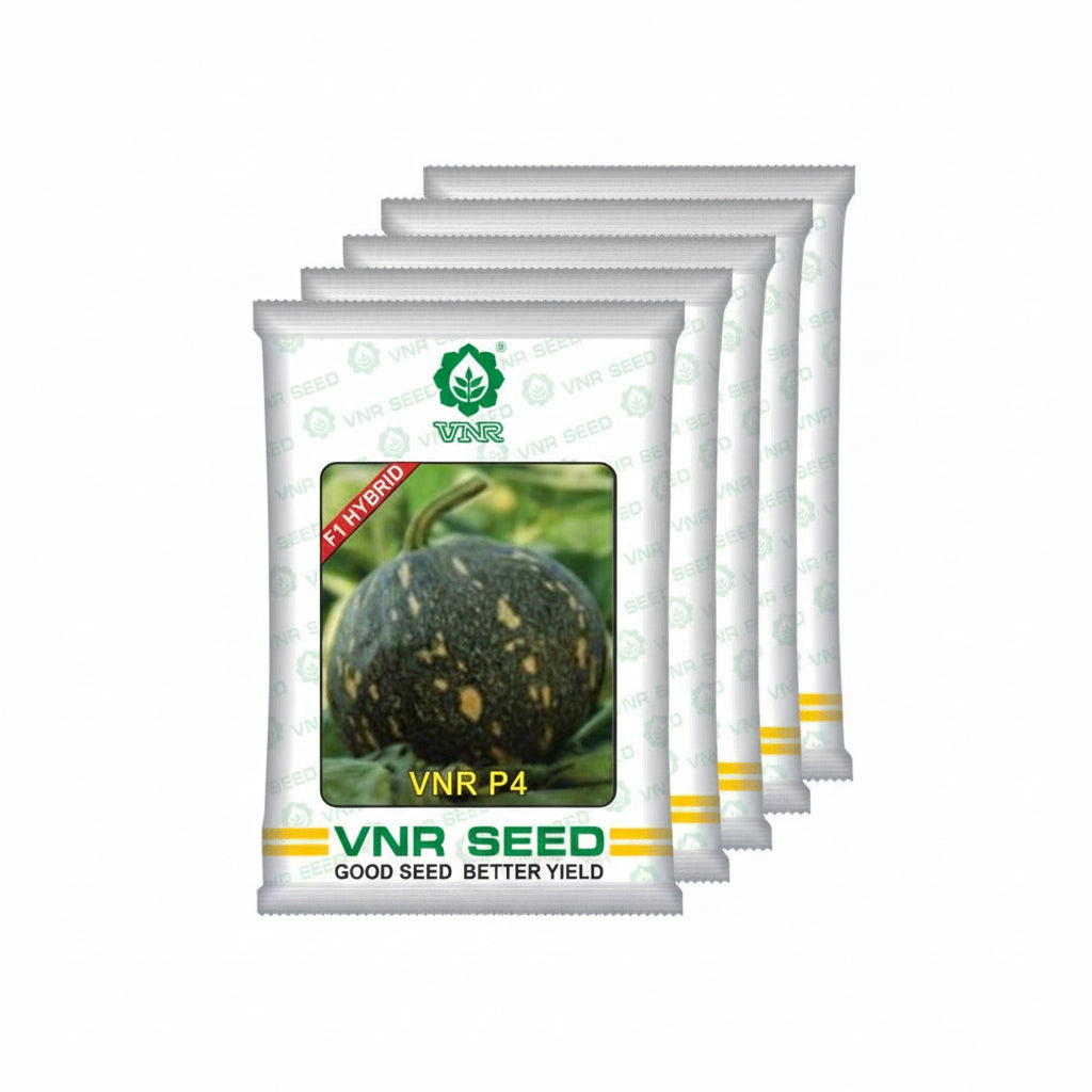 वीएनआर पी4 10 ग्राम