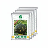 वीएनआर पी4 10 ग्राम