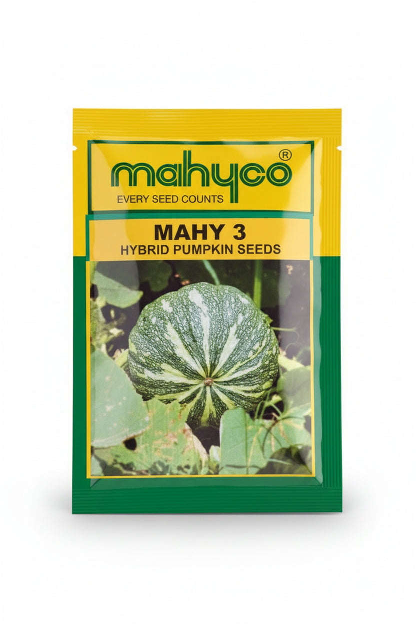 Mahyco MAHY 3 10gm