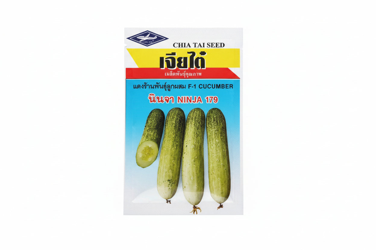 Chia Tai Ninja 179 F1 hybrid cucumber seeds high yield premium green kheera variety for commercial farming India