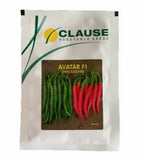 Clause Avatar F1 HMC 520340 chilli seeds high yield spicy green mirchi variety for commercial farming India