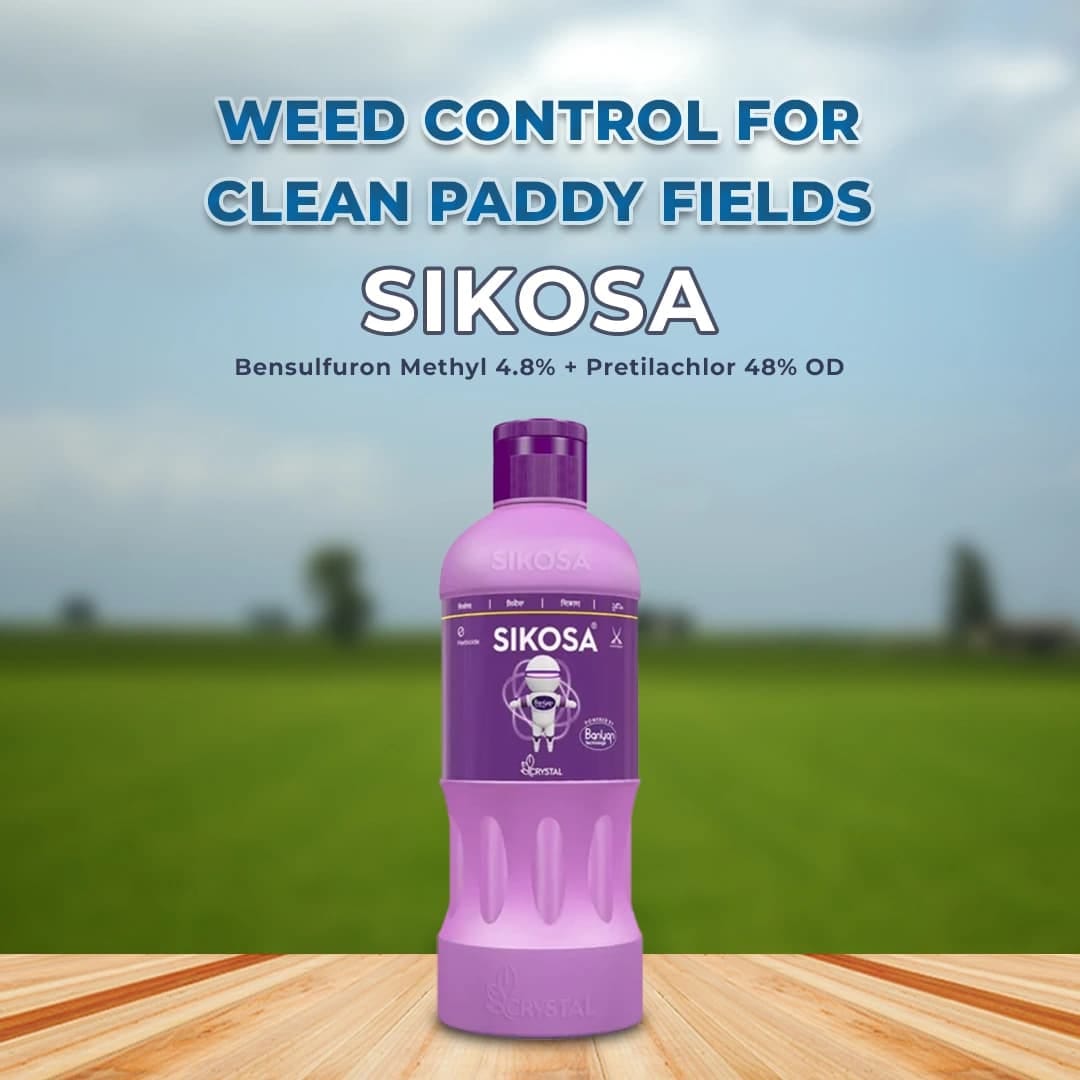 Crystal Sikosa Herbicide for effective control of broadleaf weeds in crop fields with selective post emergence action ensuring better crop growth