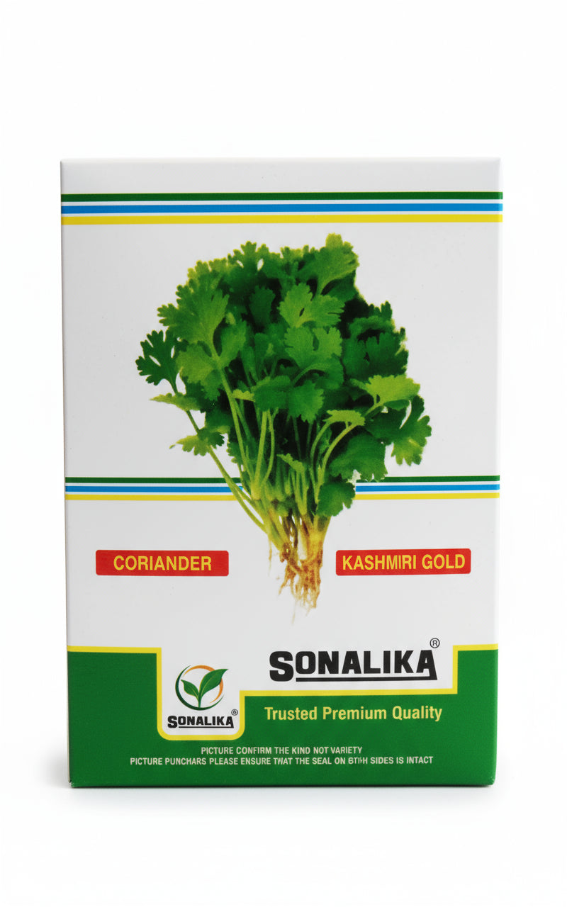 SONALIKA KASHMIRI GOLD 500gm Coriander Seeds