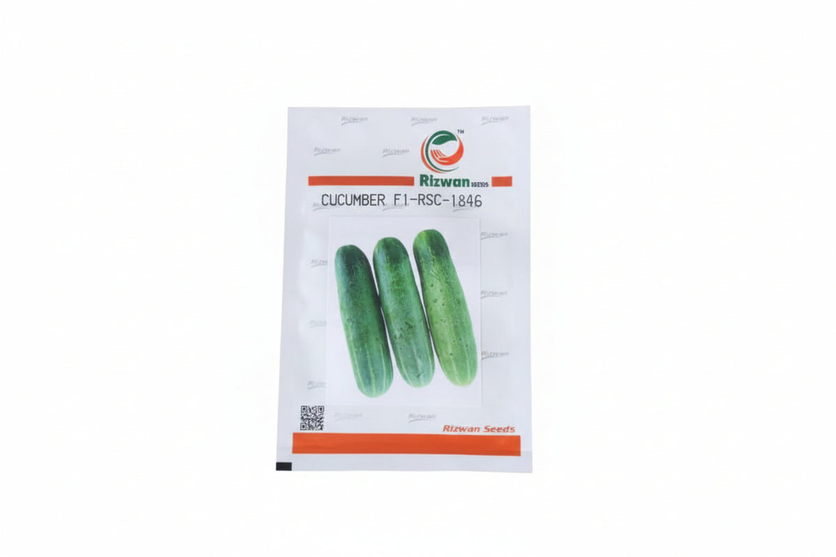 Rizwan Cucumber RSC-1846 10gm