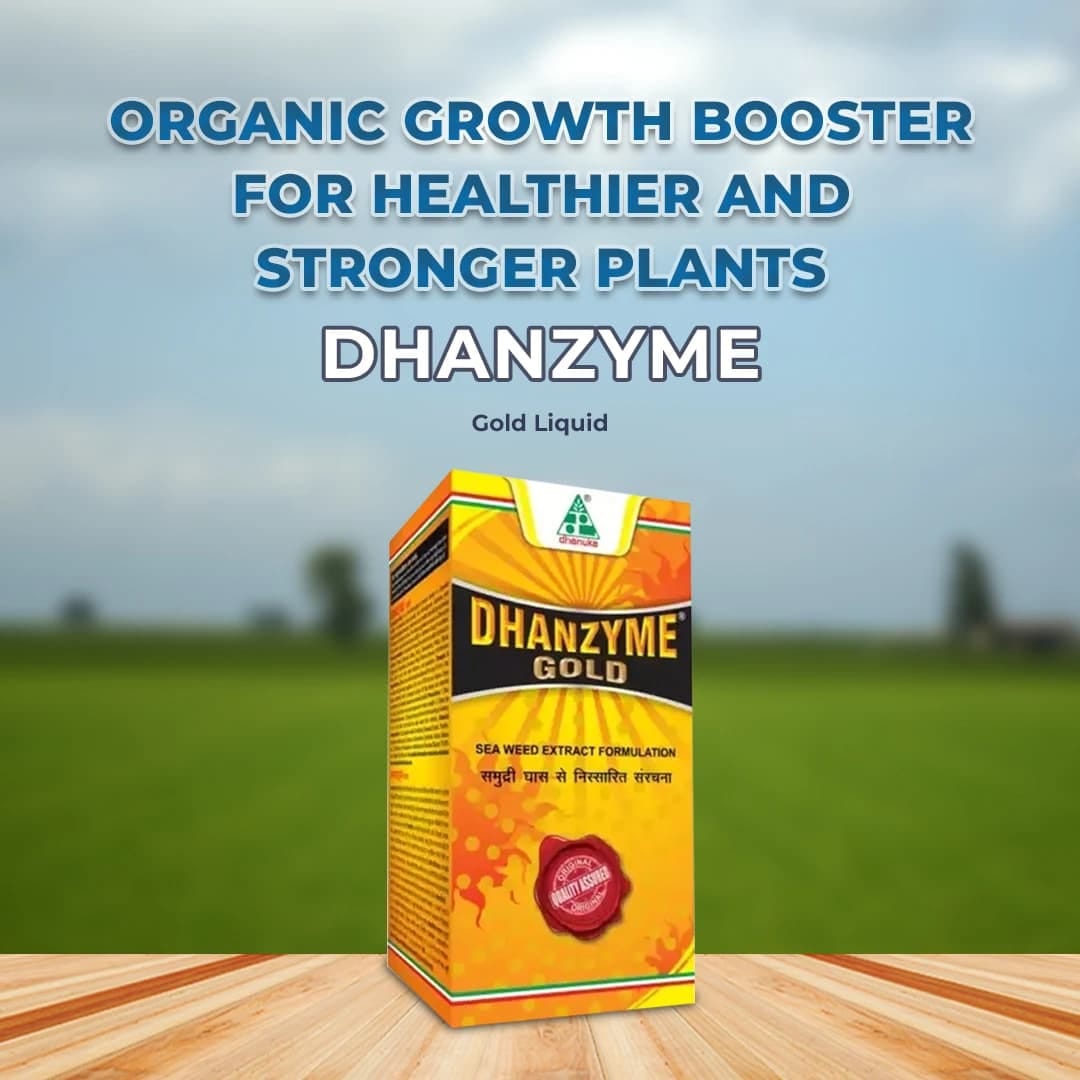 Dhanuka Dhanzyme Gold Liquid Seaweed Extract plant growth promoter for better crop yield and root development