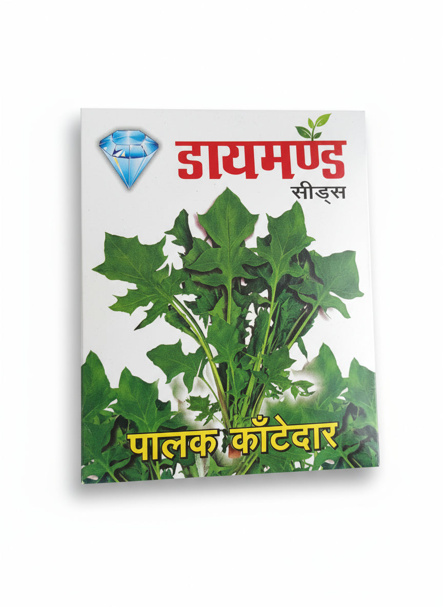 Diamond Palak Kantedar seeds high yield dark green desi spinach variety for commercial farming and kitchen gardening India