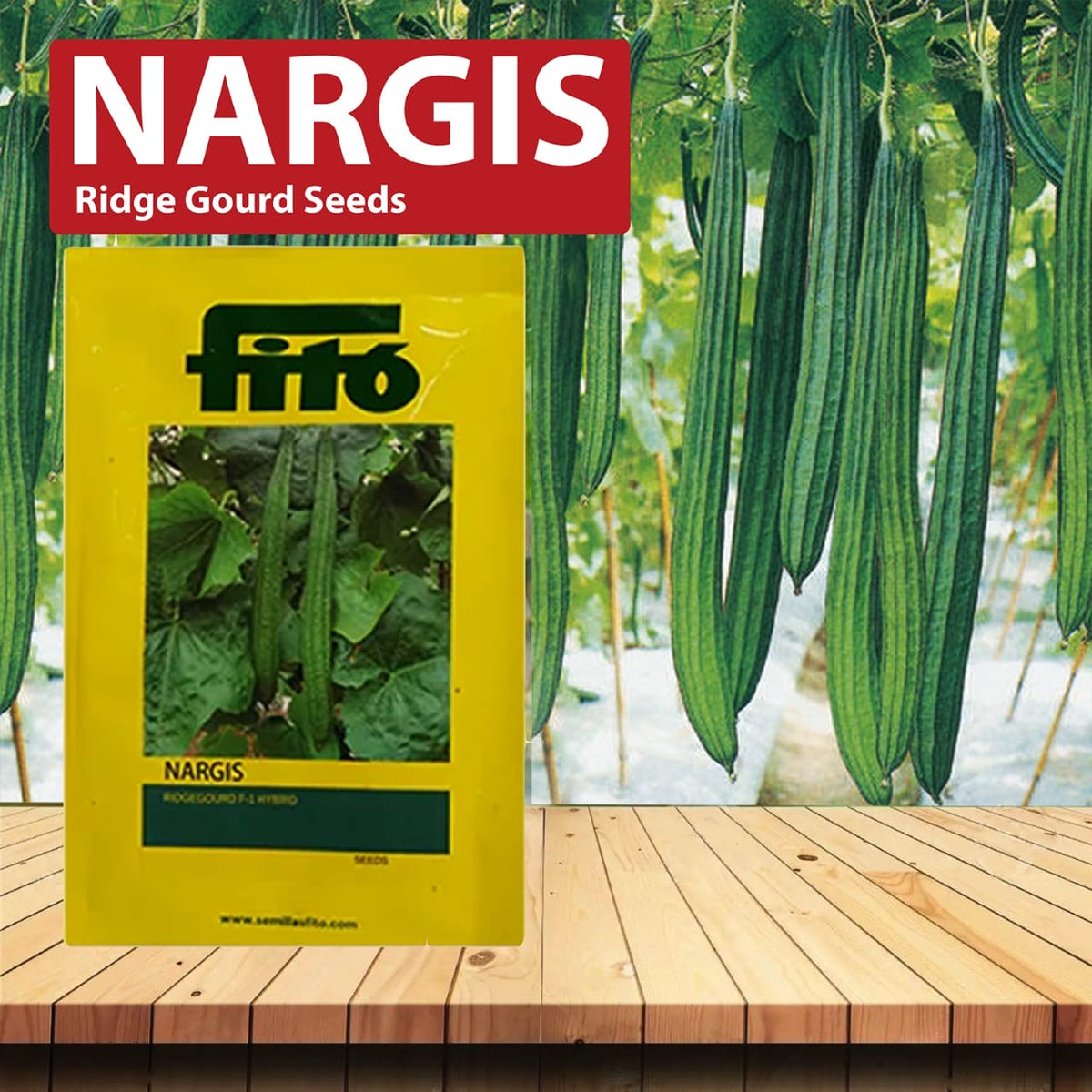 Fito NARGIS RIDGE GOURD 1000 Seeds