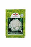 East-West Dhaval 043 F1 hybrid cauliflower seeds producing compact white curds early maturity high yield gobhi seeds for farming