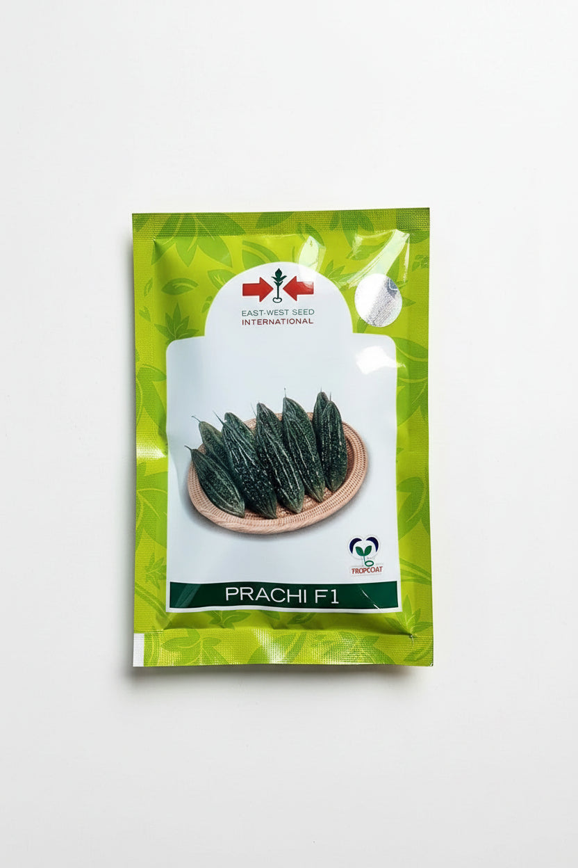 East West Prachi bitter gourd seeds producing dark green uniform high yield karela fruits suitable for commercial farming