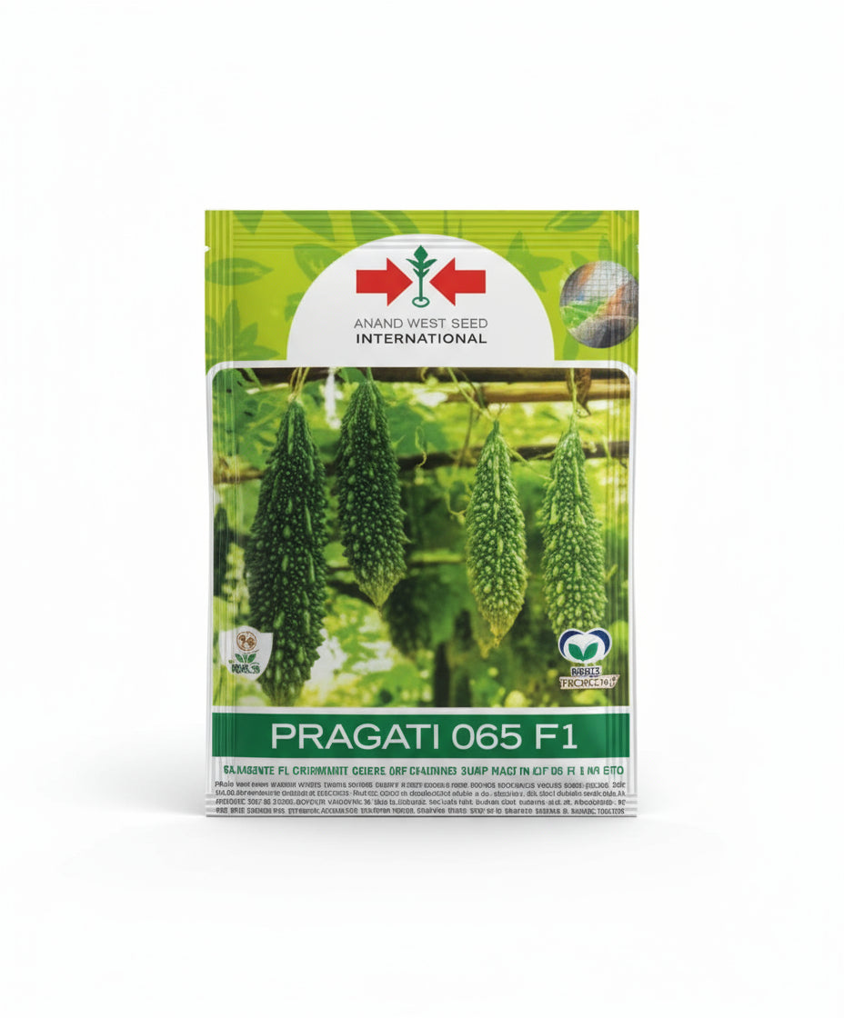 East West Pragati 065 bitter gourd seeds producing dark green uniform high yield karela fruits suitable for farming