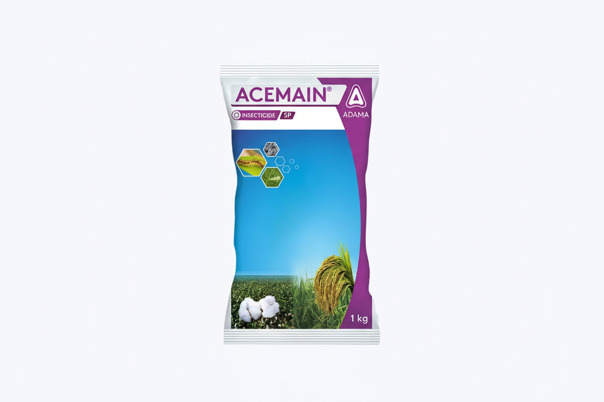 ADAMA ACEMAIN