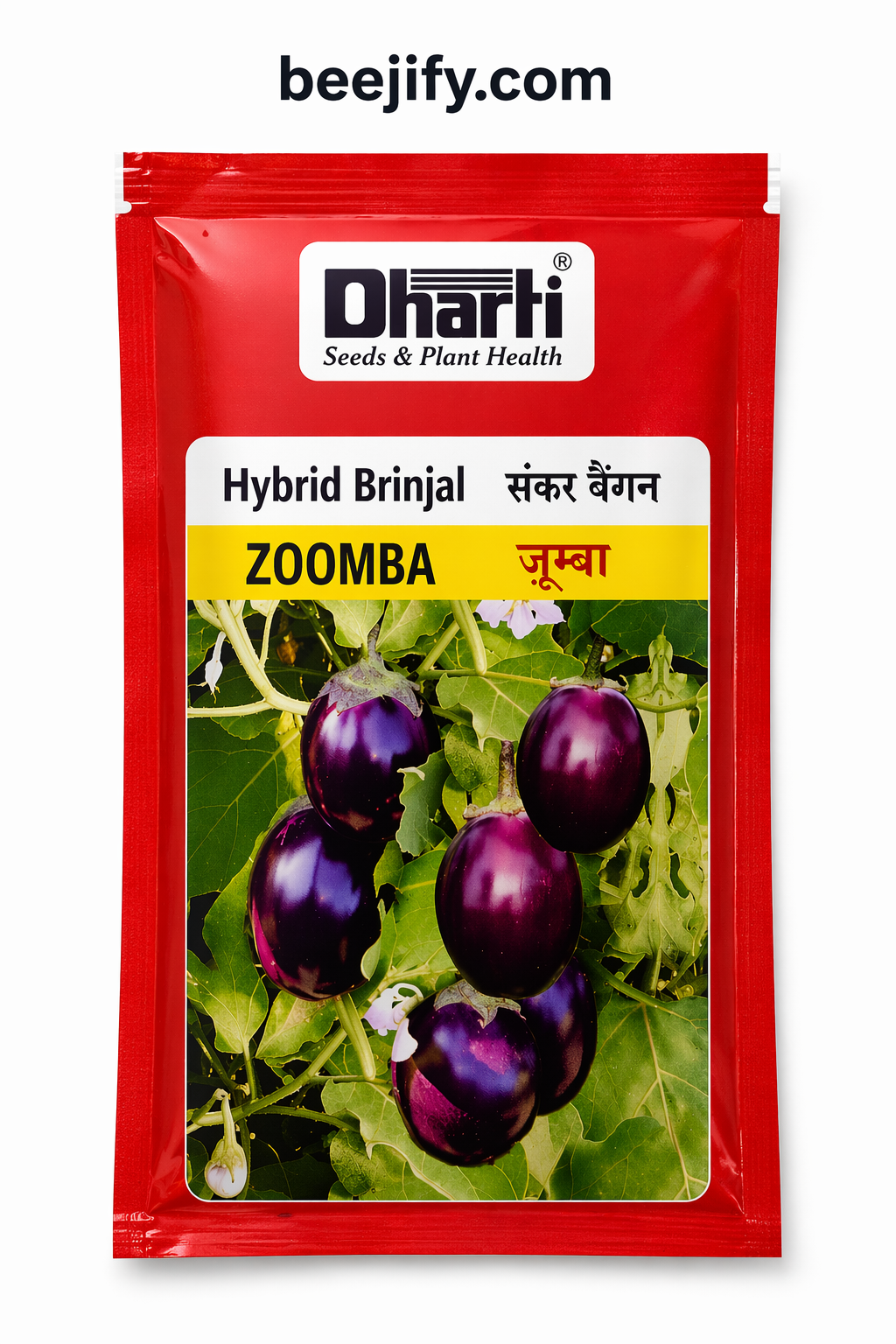 Hybrid Brinjal Seeds (ZOOMBA) – High Yield Baingan Seeds | Dharti Seeds