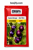 Hybrid Brinjal Seeds (ZOOMBA) – High Yield Baingan Seeds | Dharti Seeds