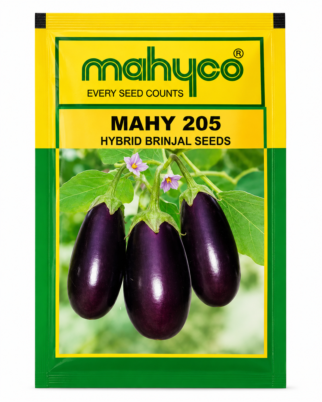 Mahyco 205 Hybrid Brinjal Seeds (Baingan) – High Yield Hybrid Variety