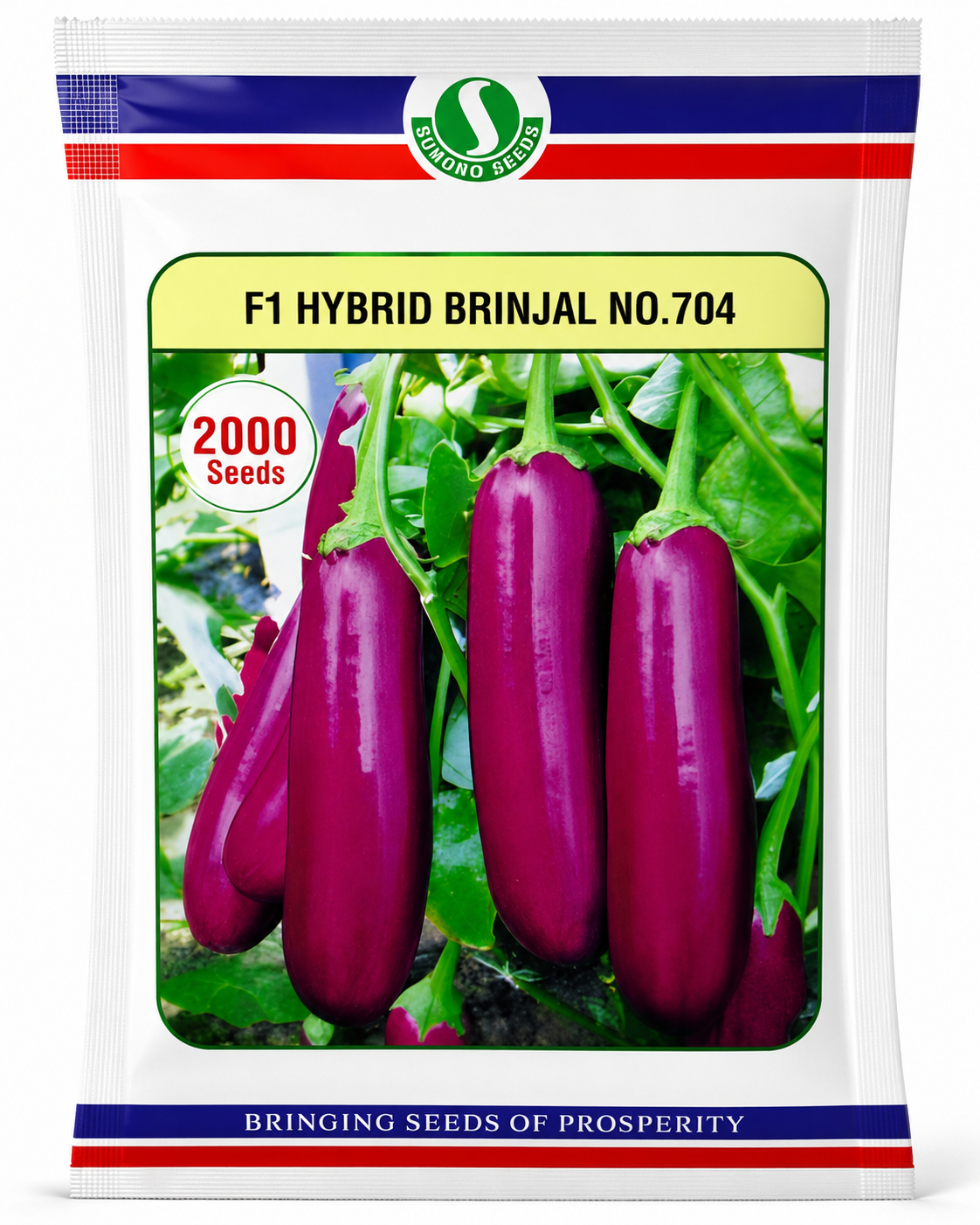F1 Hybrid Brinjal No.704 Seeds – 2000 Seeds Pack | High Yield Hybrid Eggplant (Baingan) Seeds