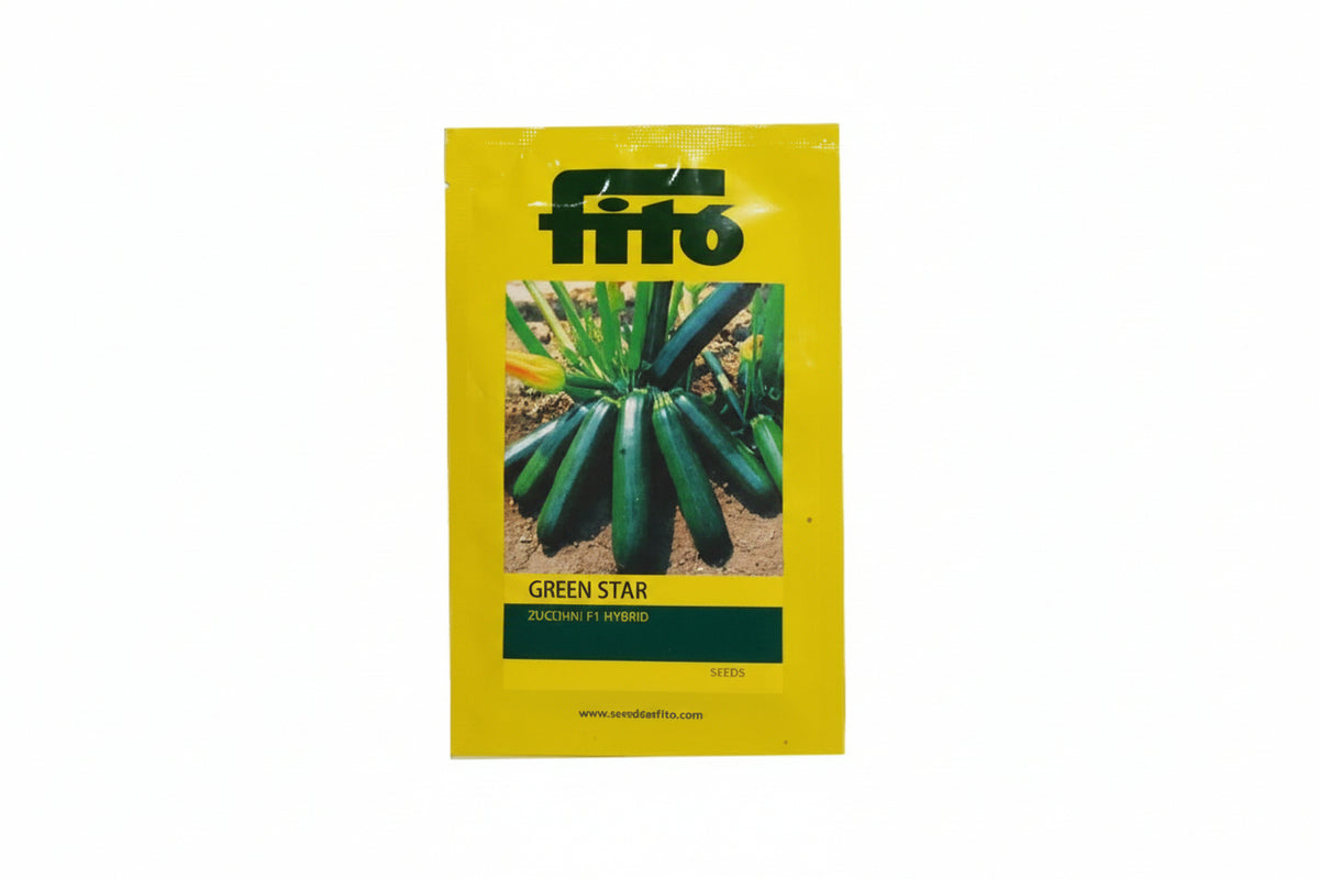 Fito Green Star squash seeds F1 hybrid high yield cylindrical green squash variety for commercial farming and kitchen gardening India