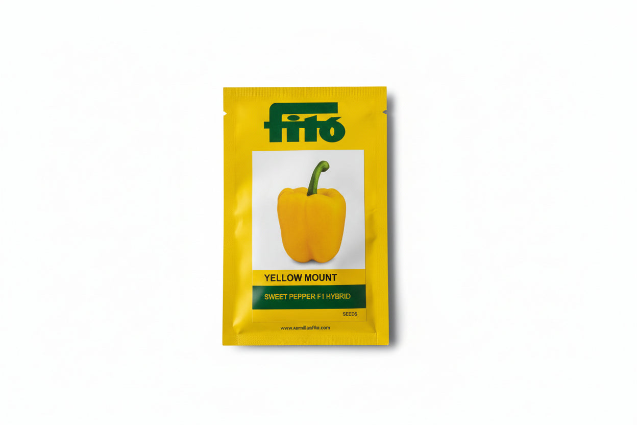 Fito Yellow Mount sweet pepper seeds F1 hybrid high yield bright yellow capsicum variety for commercial farming India
