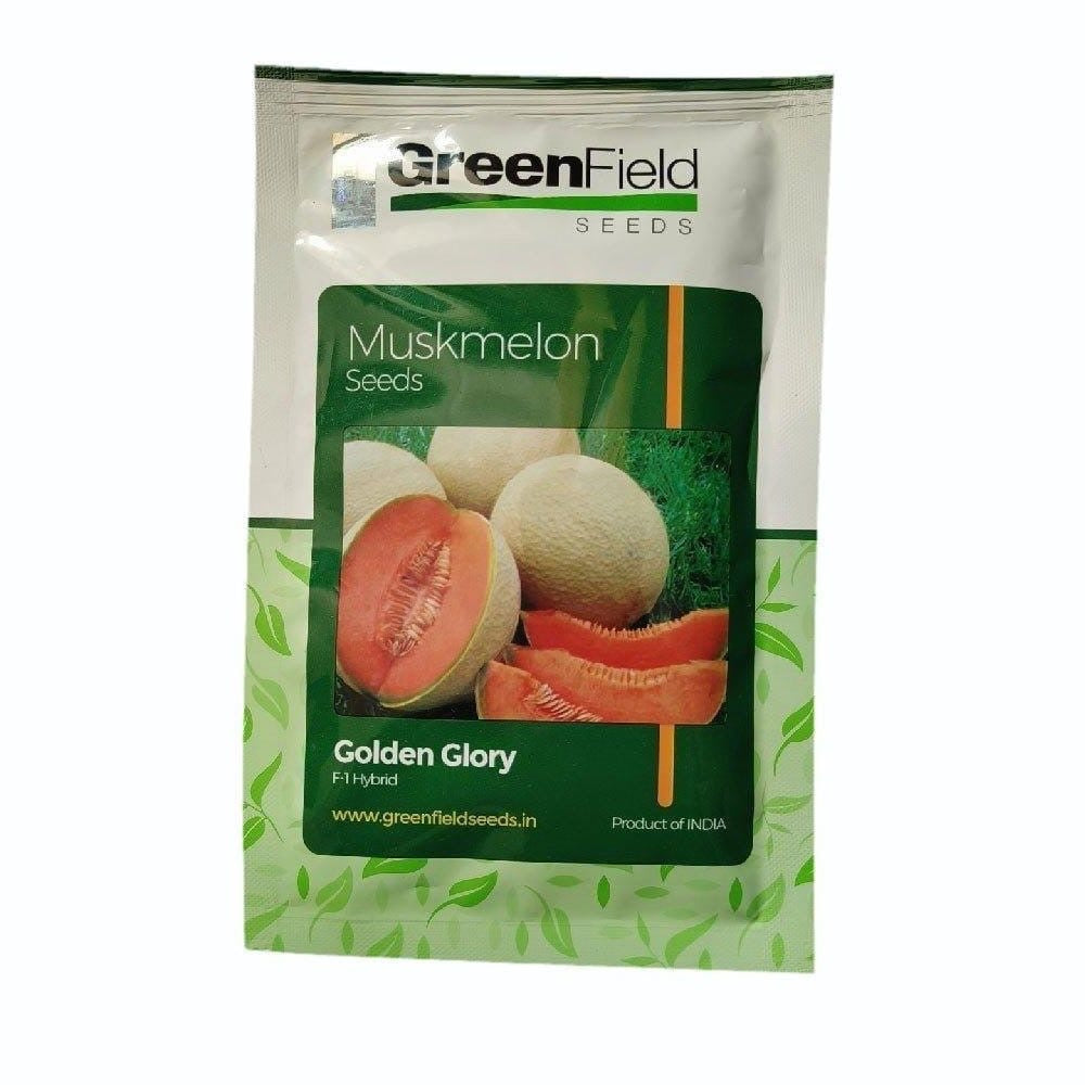 Green Field Golden Glory muskmelon seeds high yield sweet aromatic kharbuja variety for commercial farming and kitchen gardening India