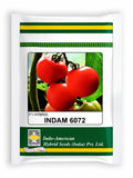 INDAM 6072 F1 Hybrid Tomato Seeds packet with red tomato fruits
