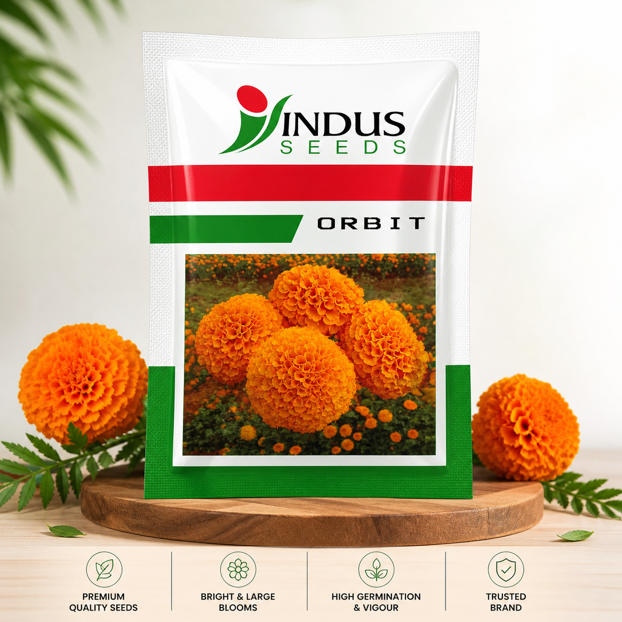 indus-seeds-orbit-marigold-orange-flower-seeds