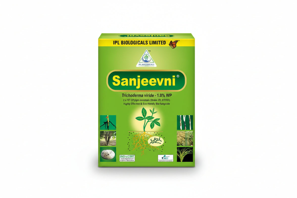 IPL Sanjeevni Biological Fungicide for natural and eco friendly control of fungal diseases in crops improving plant health and yield