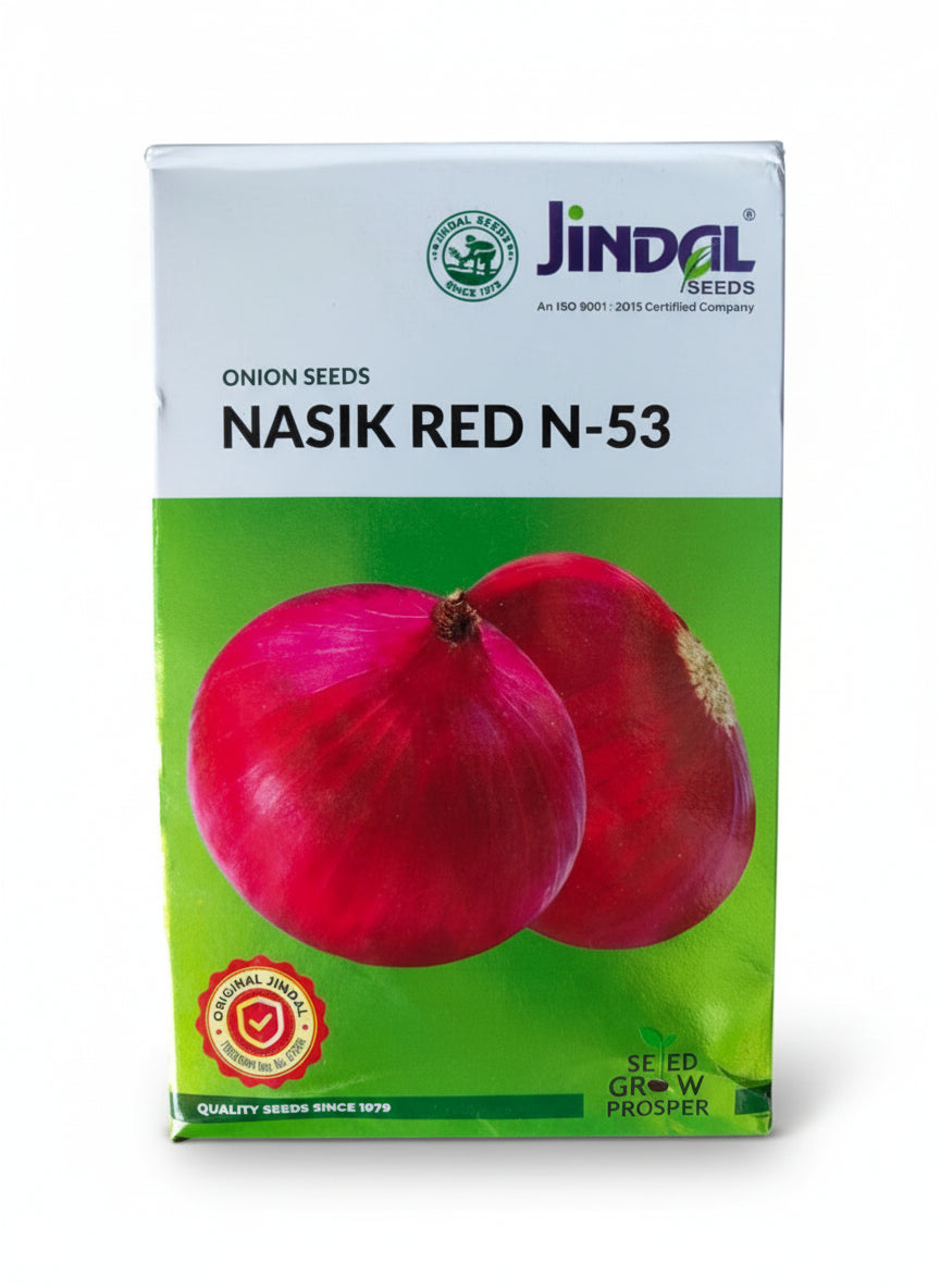 Jindal Nasik Red N-53 onion seeds high yield medium red flat oval onion seeds for farming and home gardening