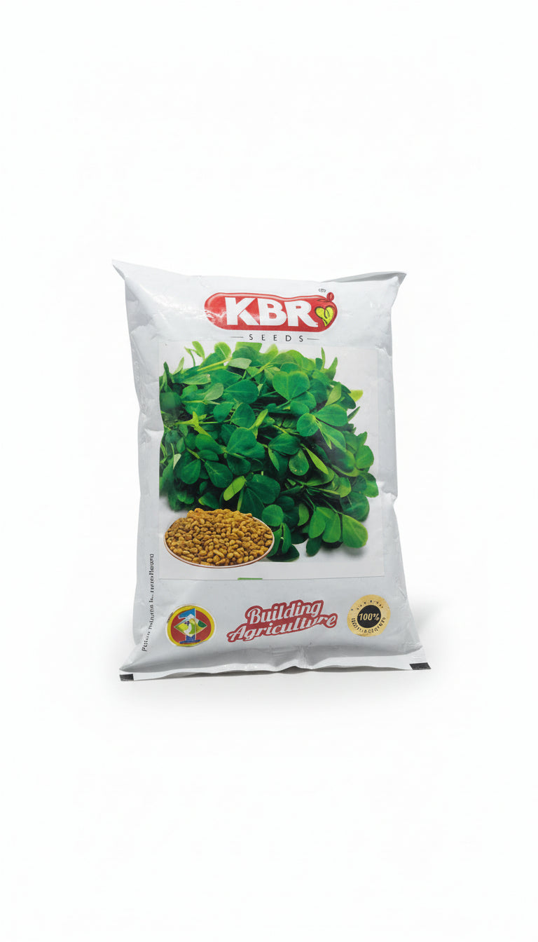 KBR Methi Seed high germination fenugreek seeds for leafy vegetable and grain production suitable for farming and home gardening
