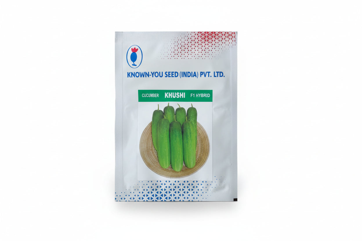 Known You Seed Khushi F1 hybrid cucumber seeds high yield green kheera variety for commercial farming India