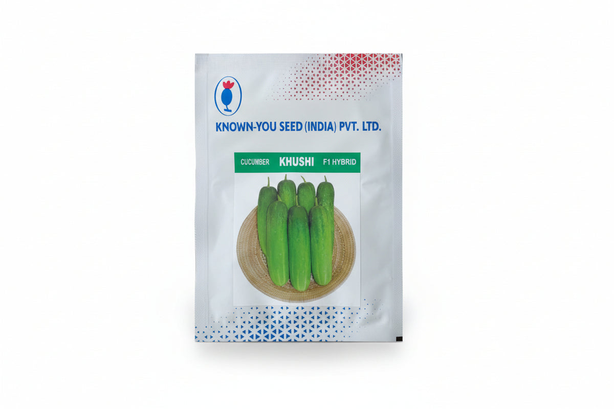 Known You Seed Khushi F1 hybrid cucumber seeds high yield green kheera variety for commercial farming India