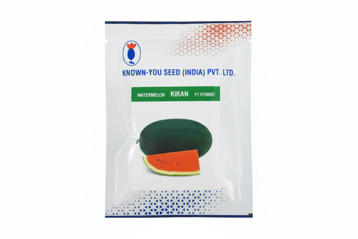 Known You Seed Kiran F1 hybrid watermelon seeds high yield early sweet red flesh oblong tarbooz seeds for farming and home gardening