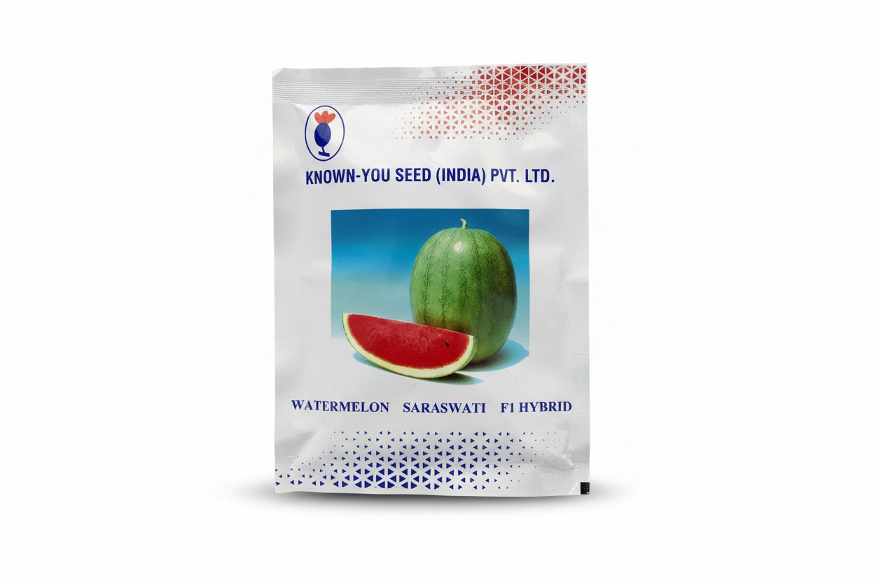 Known You Seed Saraswat F1 hybrid watermelon seeds high yield sweet red flesh tarbooz seeds for farming and home gardening
