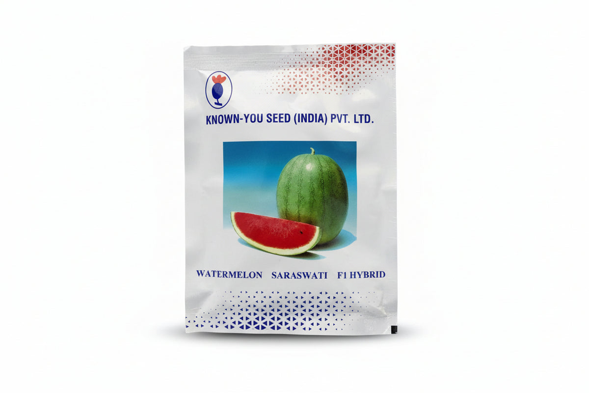 Known You Seed Saraswat F1 hybrid watermelon seeds high yield sweet red flesh tarbooz seeds for farming and home gardening