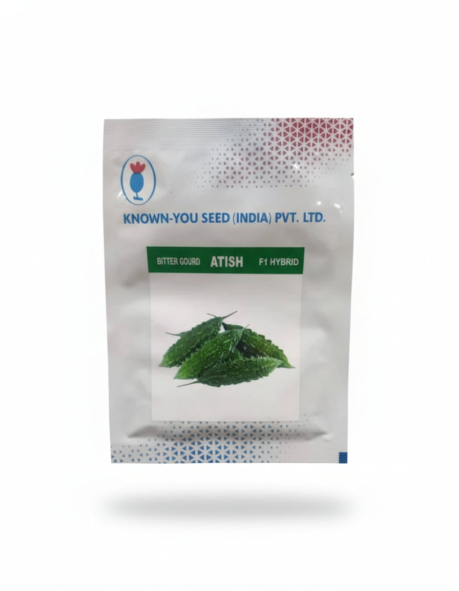 Known You Seed Atish bitter gourd seeds producing dark green uniform high yield karela fruits suitable for commercial farming