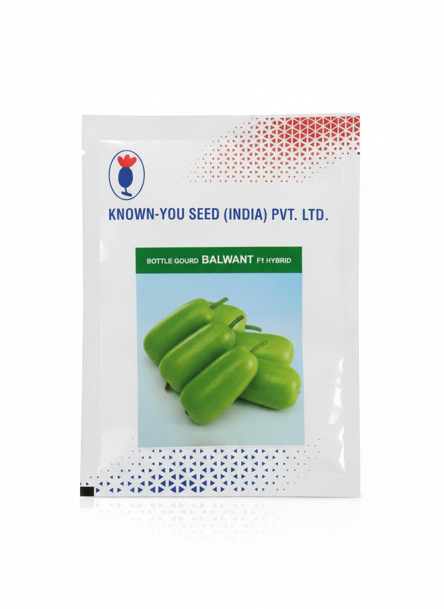 Known You Seed Balwant F1 hybrid bottle gourd seeds high yield lauki seeds for farming and kitchen garden