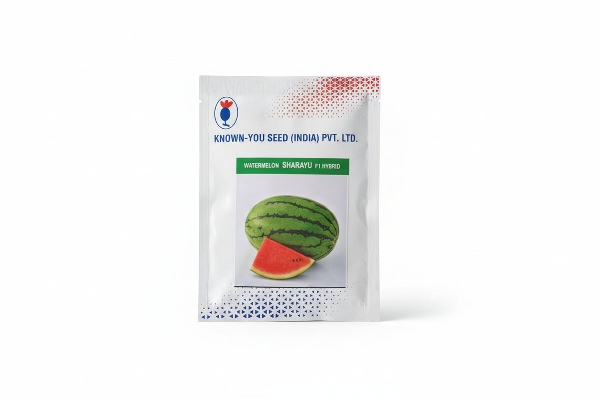 Known You Seed Sharayu F1 hybrid watermelon seeds high yield sweet red flesh tarbooz seeds for farming and home gardening