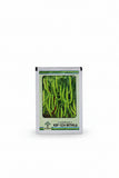 KSP 1234 Mithla F1 hybrid chilli seeds high yield spicy green mirchi variety for commercial farming India