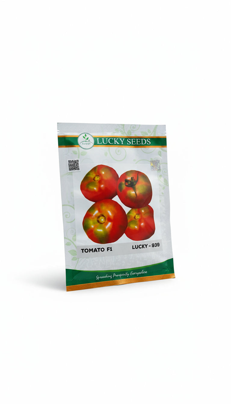 Lucky 939 F1 hybrid tomato seeds high yield round red tomato variety for commercial farming India