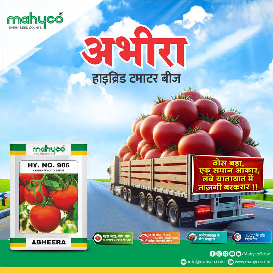 Promotional image for Mahyco Abheera hybrid tomato seeds with a truckload of tomatoes and packaging.