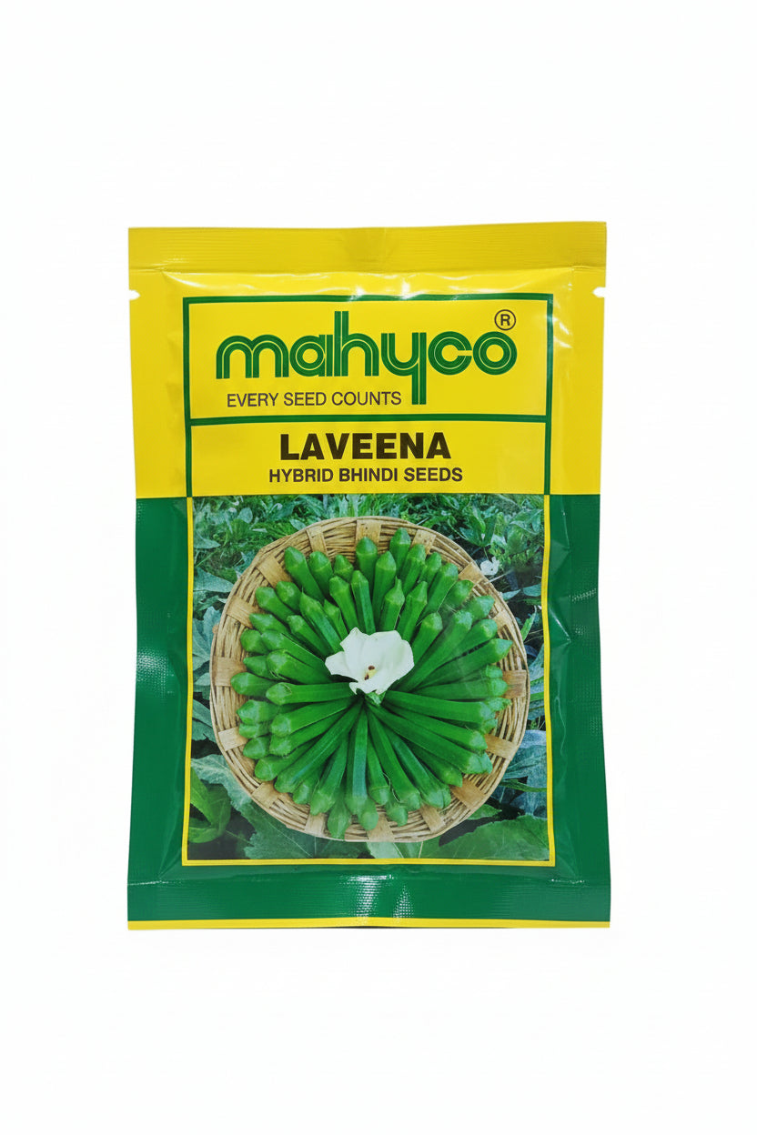 Mahyco Laveena F1 hybrid bhindi seeds high yield early dark green okra ladyfinger seeds for farming and home gardening